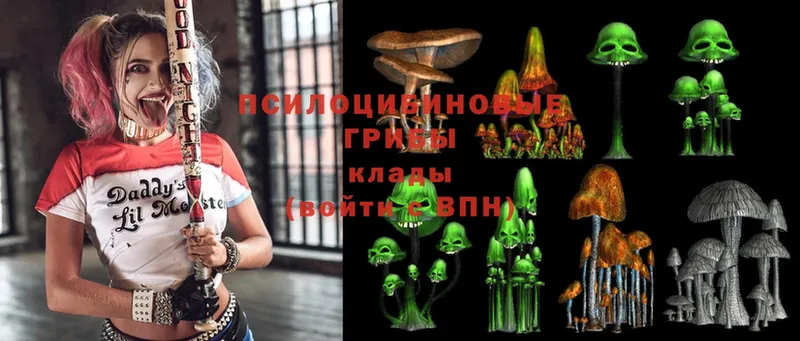 Галлюциногенные грибы Psilocybe  Жигулёвск 